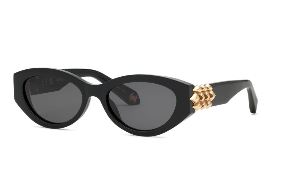 Roberto Cavalli SRC168M 0700